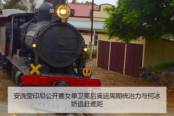 an-xi-ying-yin-ni-gong-kai-sai-nv-dan-wei-mian-hou-ao-yun-zhou-qi-tong-zhi-li-yu-he-bing-jiao-zhui-gan-cha-ju-3-136.jpg